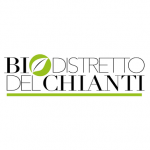 Nuovo progetto (1)