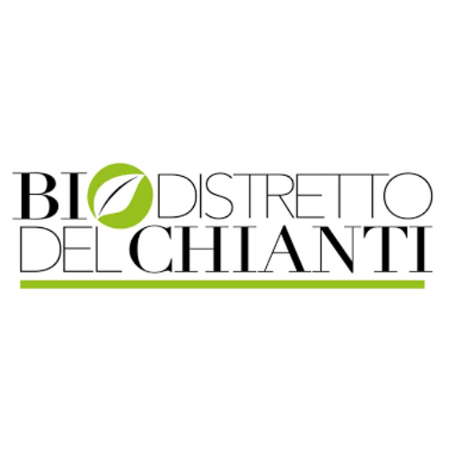 Nuovo progetto (3)