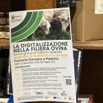 Locandina_ovini